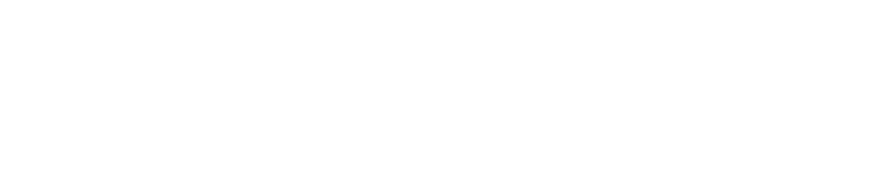 Paradise Dev Logo